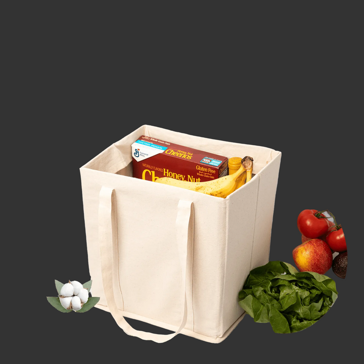 Reusable Organic Cotton Canvas Bins (Set of 2)