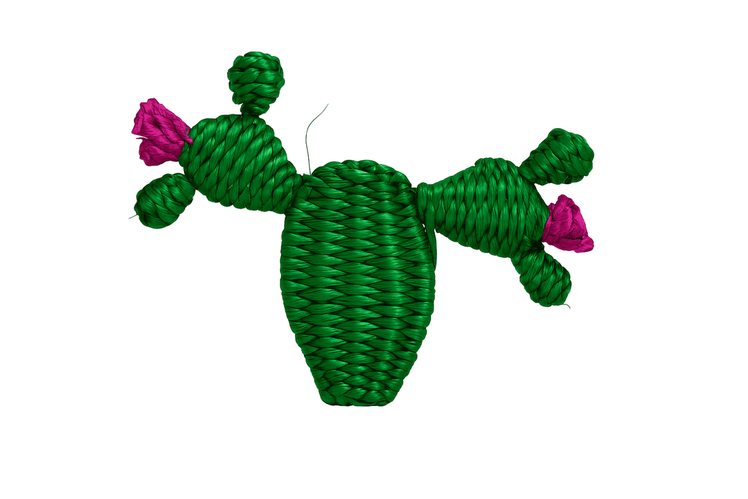 Cactus Handwoven Iraca Napkin Ring — Napkin Ring, [material], MacondoForever