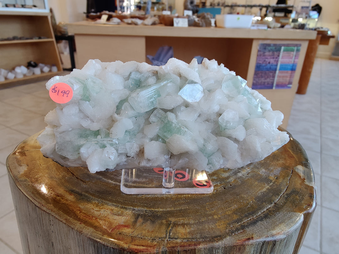 Apophyllite crystal cluster with white and light green mineral crystals on round base