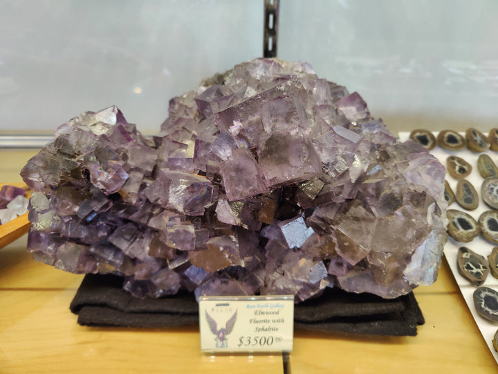 Amethyst-purple cubic fluorite crystal cluster on dark display base