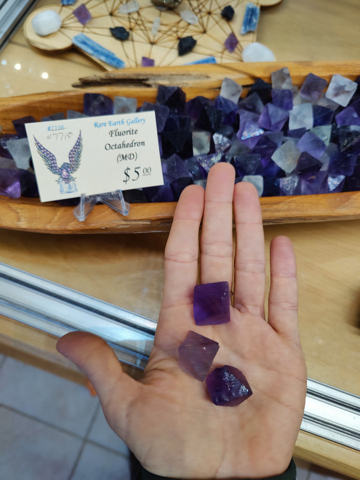 Purple fluorite octahedron crystals held in open hand above display tray