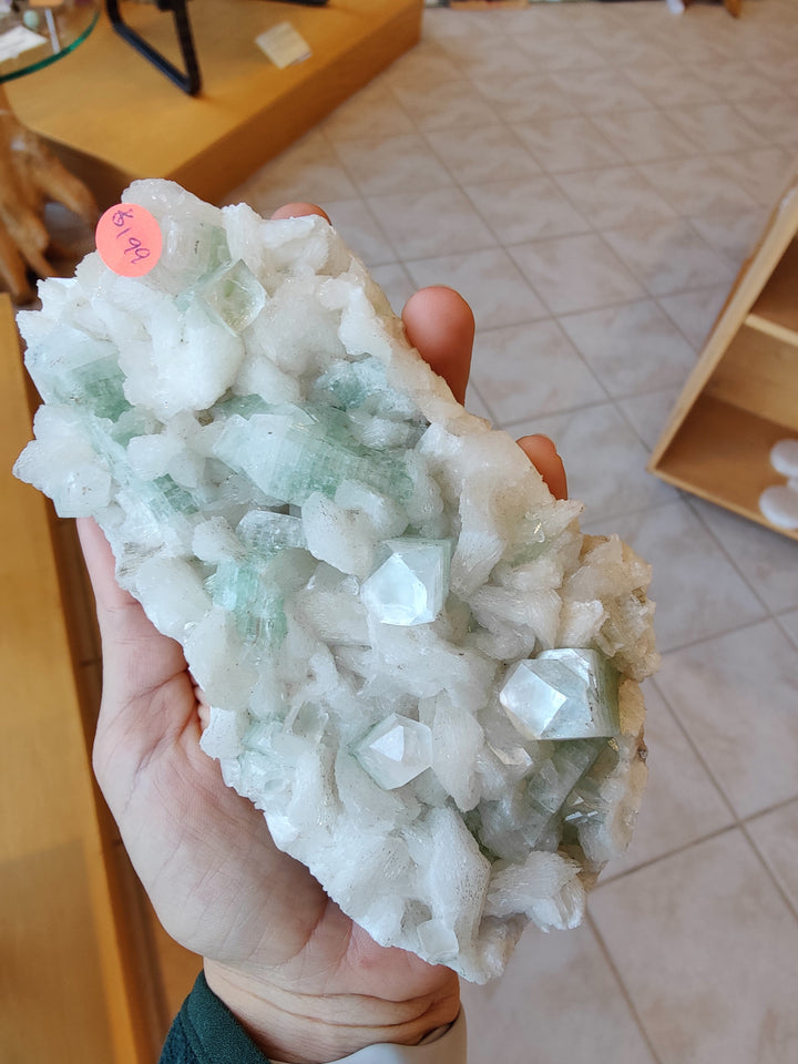 Apophyllite crystal cluster with white and pale green faceted crystals, held in hand