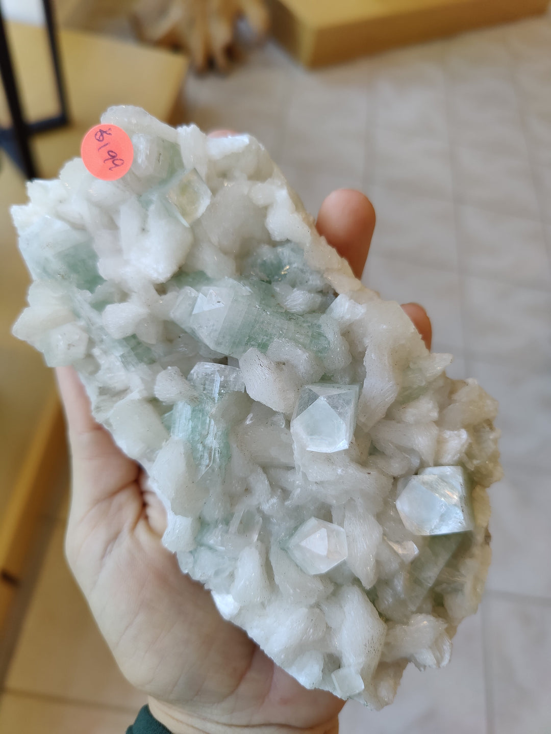Handheld apophyllite crystal cluster with white and pale green crystal points