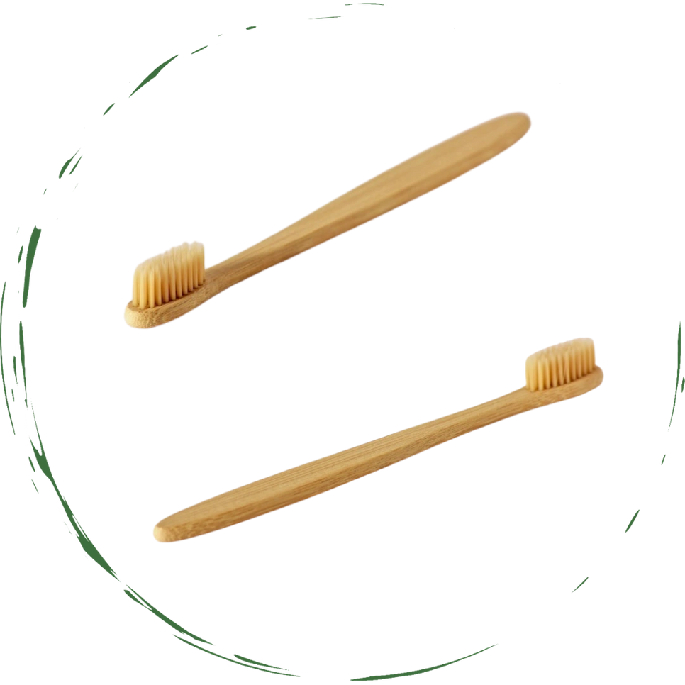 Toothbrush set: two bamboo handles with soft bristles, shown together