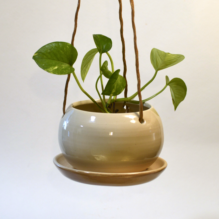 Glazed beige hanging planter with rope, holding small green plant