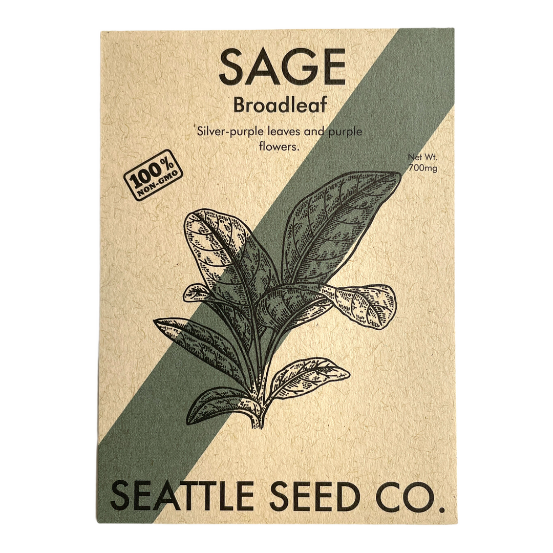 Broadleaf sage seed packet with sage leaves illustration and SAGE text
