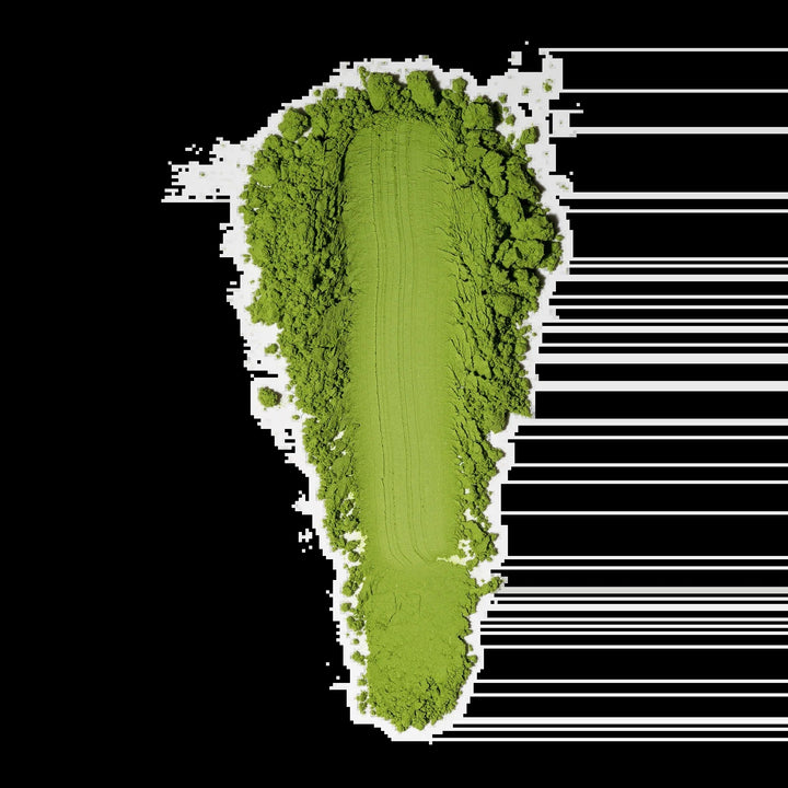 Single-cultivar matcha powder in a green mound illustration