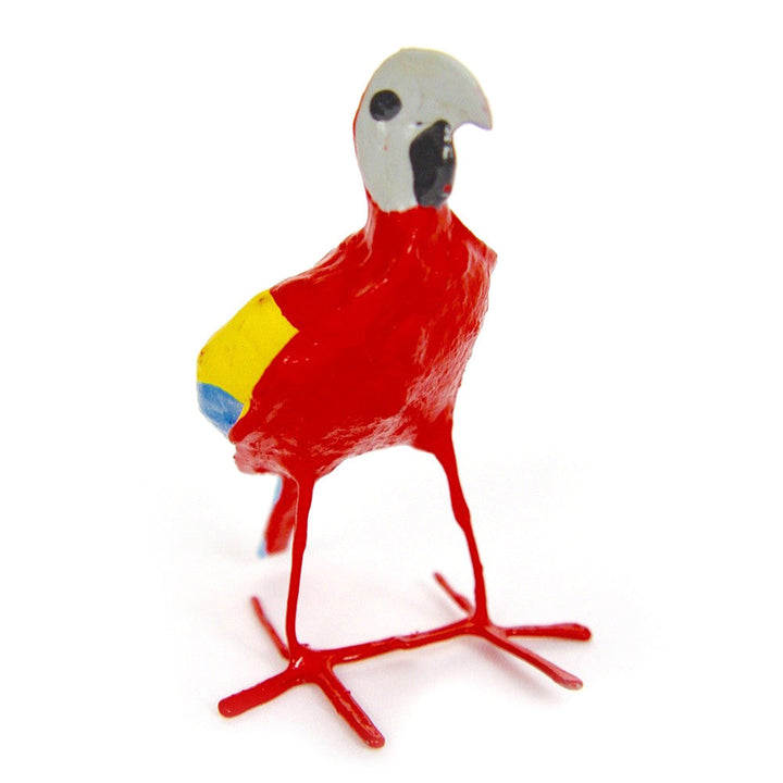Seedpod Macaw