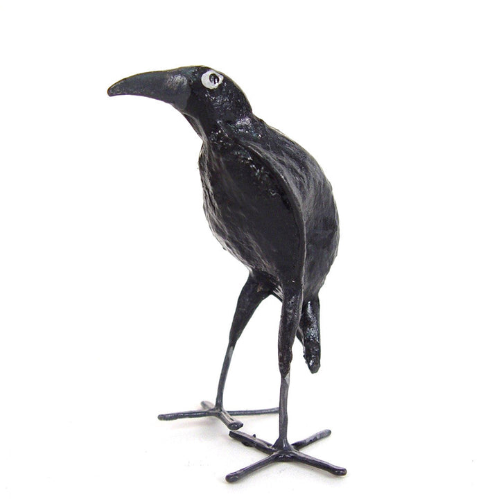 Seedpod Raven