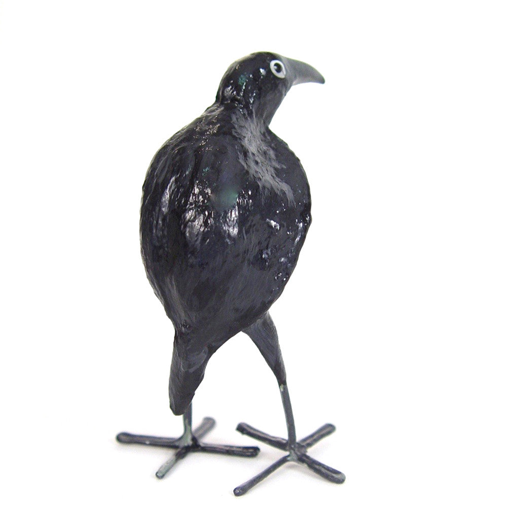 Seedpod Raven