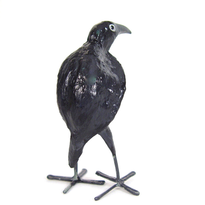 Seedpod Raven