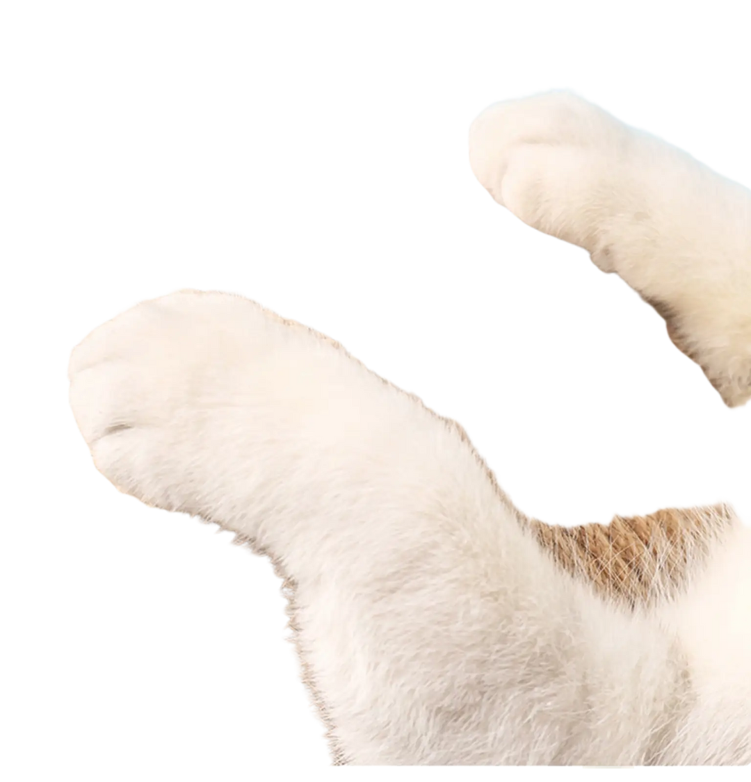 Cat paws reaching toward round sisal scratching ball on wooden stand