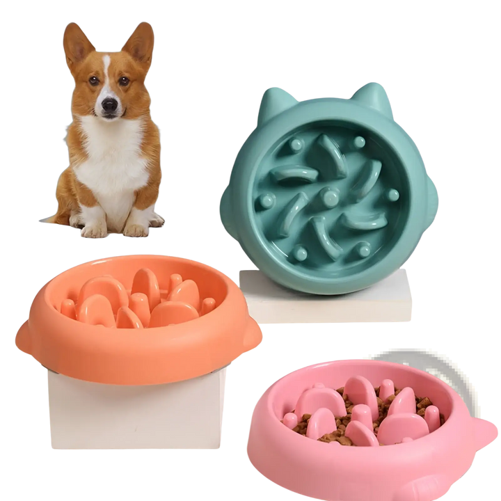 Slow feeder silicone dog bowl set with teal, orange, and pink anti-gulp inserts