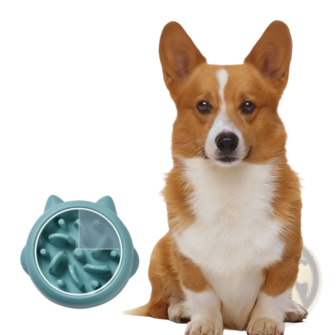 Dog next to a small teal slow feeder silicone dog bowl with anti-gulp channels