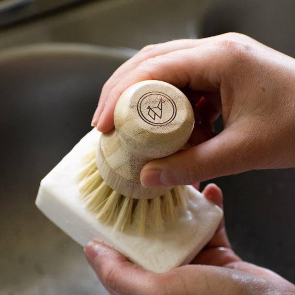 Hand holding stamped light coconut soap bar with matching brush