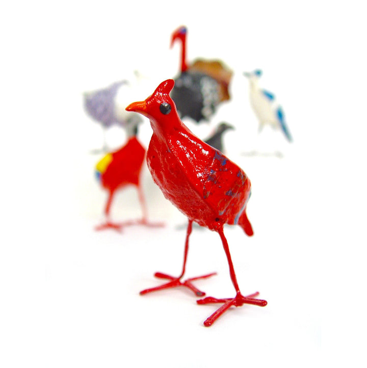 Seedpod Cardinal