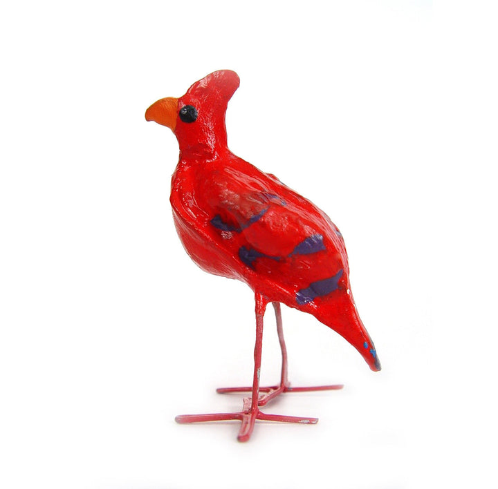 Seedpod Cardinal