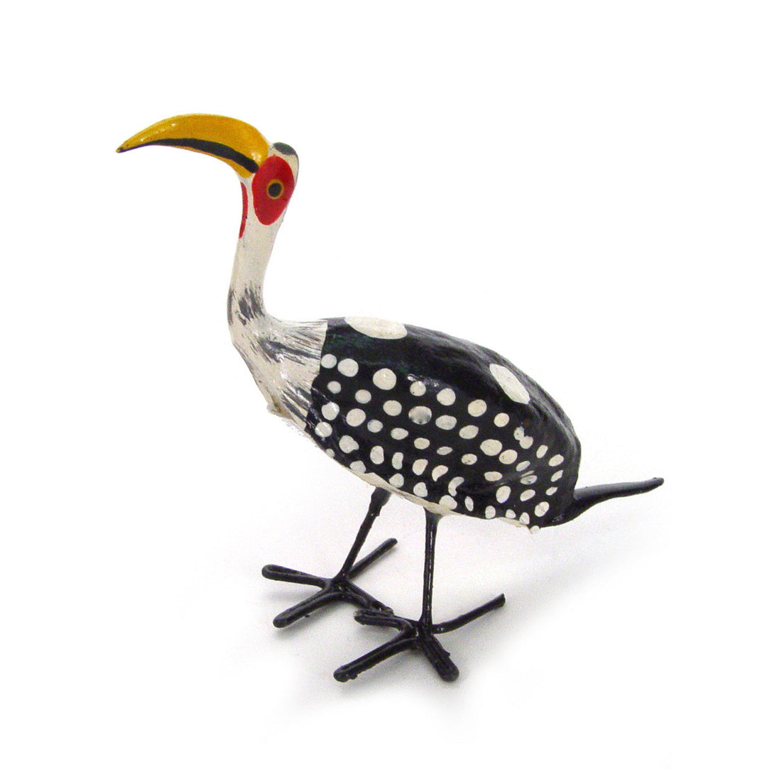 Seedpod Hornbill