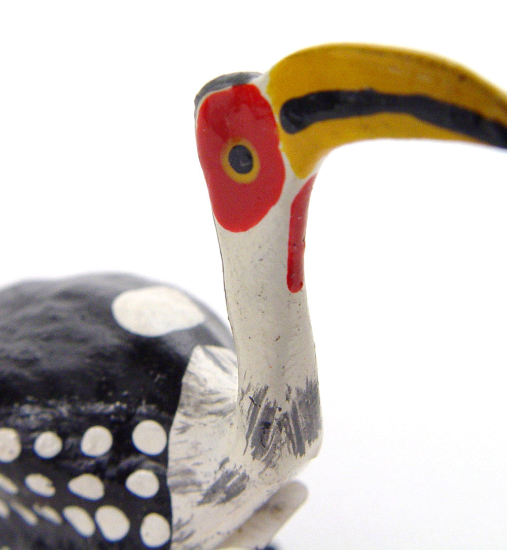 Seedpod Hornbill