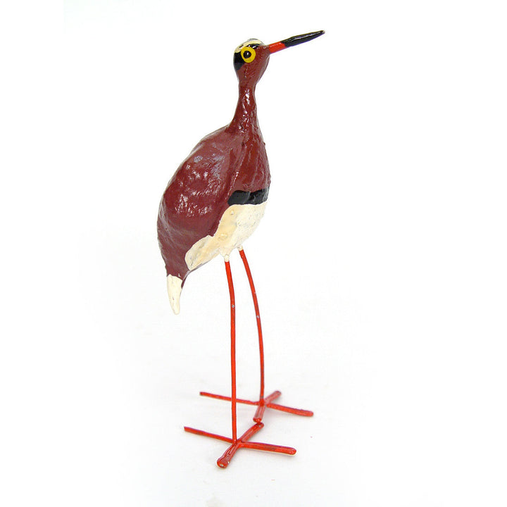 Seedpod Crowned Plover