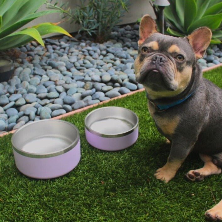 Tilley + Me Stainless Steel Pet Bowl (32 oz and 64 oz)