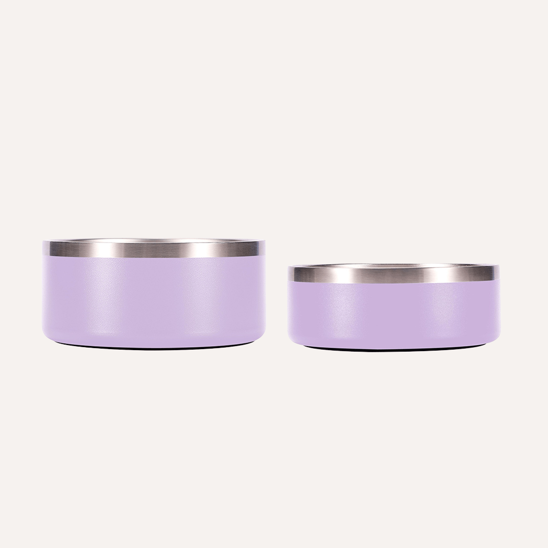 Tilley + Me Stainless Steel Pet Bowl (32 oz and 64 oz)