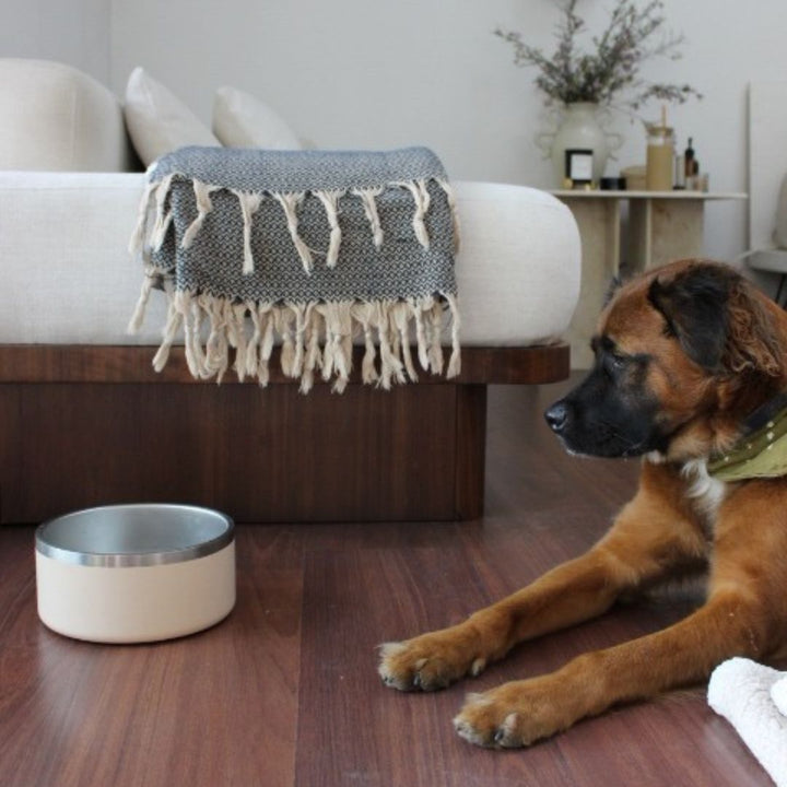 Tilley + Me Stainless Steel Pet Bowl (32 oz and 64 oz)