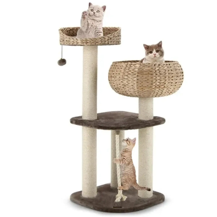 Water hyacinth cat tree with woven top and side perches, sisal posts, and dark base
