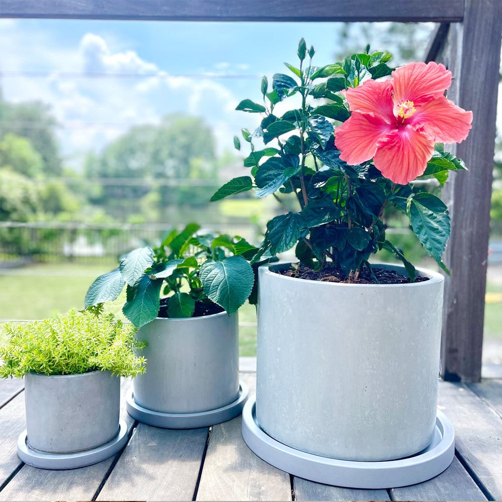 Concrete Round Planter: White — Pots & Planters, [material], Port Living Co.