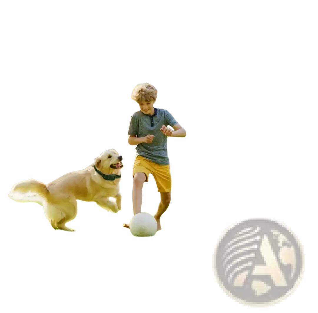 Dog next to child with wireless dog fence training collar receiver icon