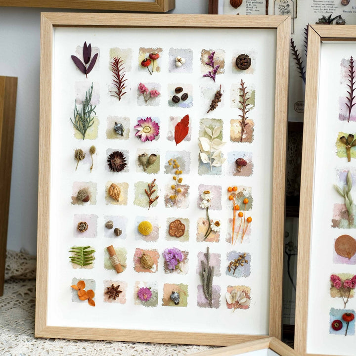 "The Grand Botanical Mosaic" Specimen Shadow Box