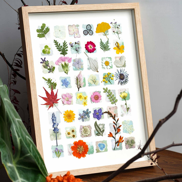 "The Grand Botanical Mosaic" Specimen Shadow Box
