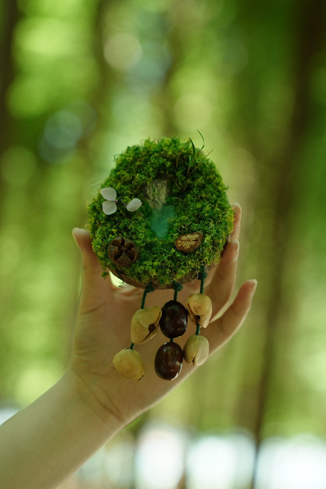 "Acorn Family" Moss Forest Fridge Magnet