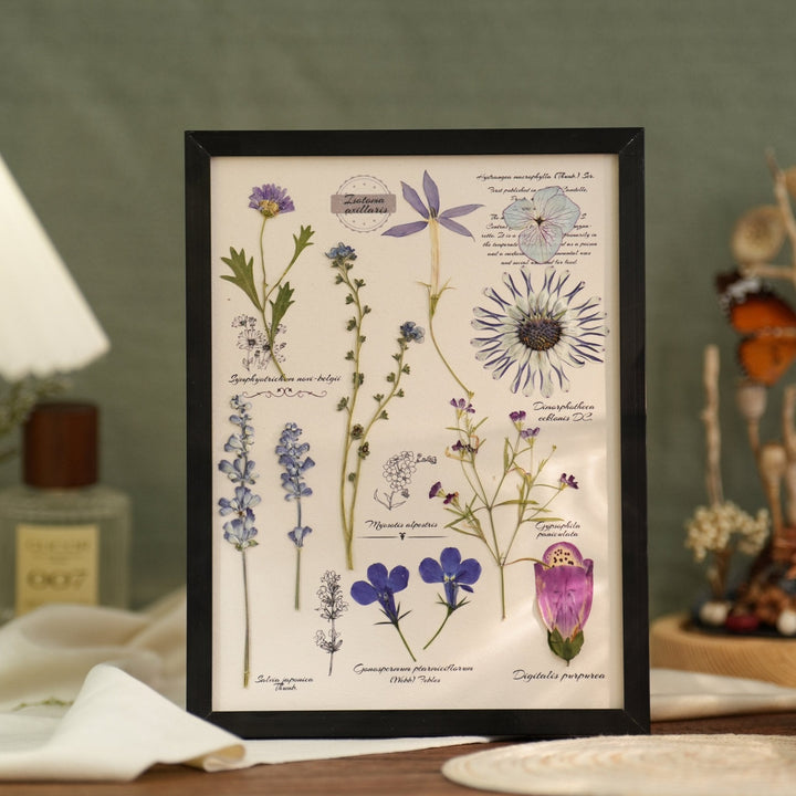 "The Botanist's Journal" Pressed Flower Art Frame