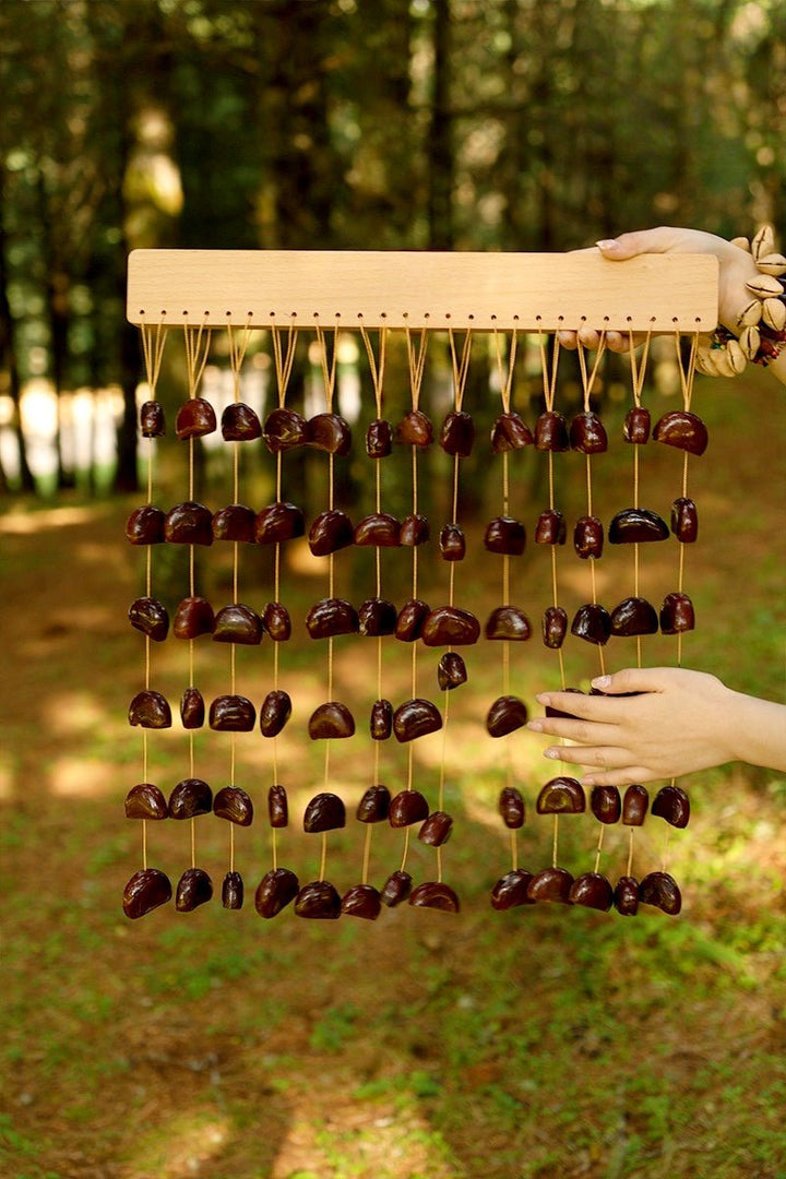 Handmade Juju Seed Shell Bar Chime