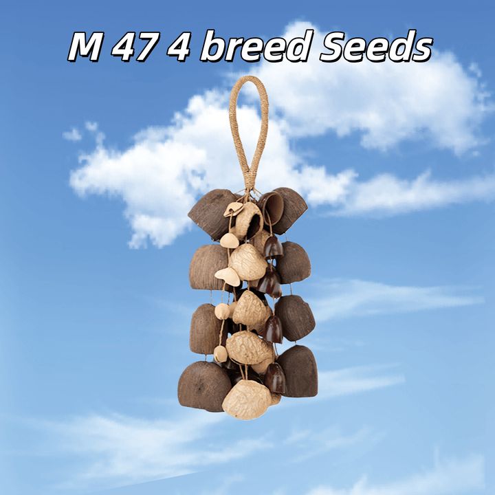 Handmade Mixed Seed Shaker | Hand Bell