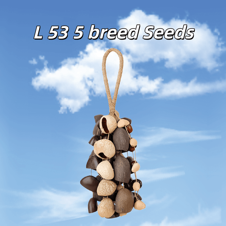 Handmade Mixed Seed Shaker | Hand Bell