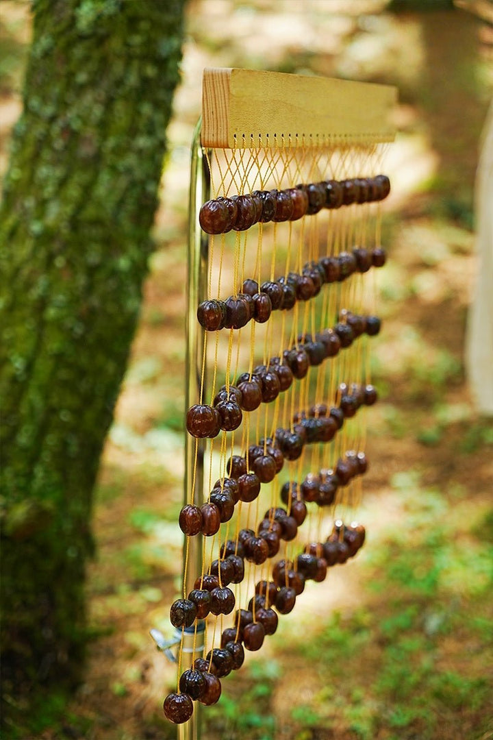 Handmade Pala Seed Shell Bar Chime