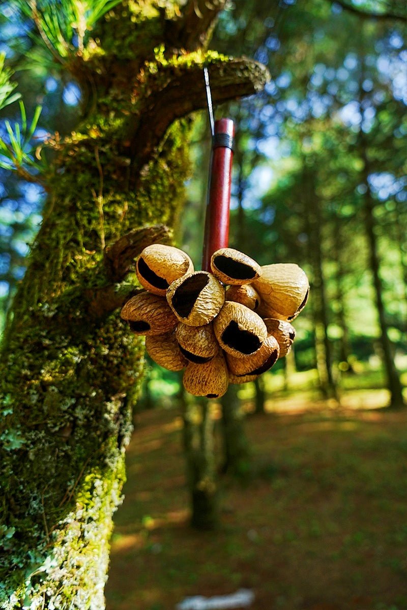Panji Seed Pod Wooden Handle Shaker