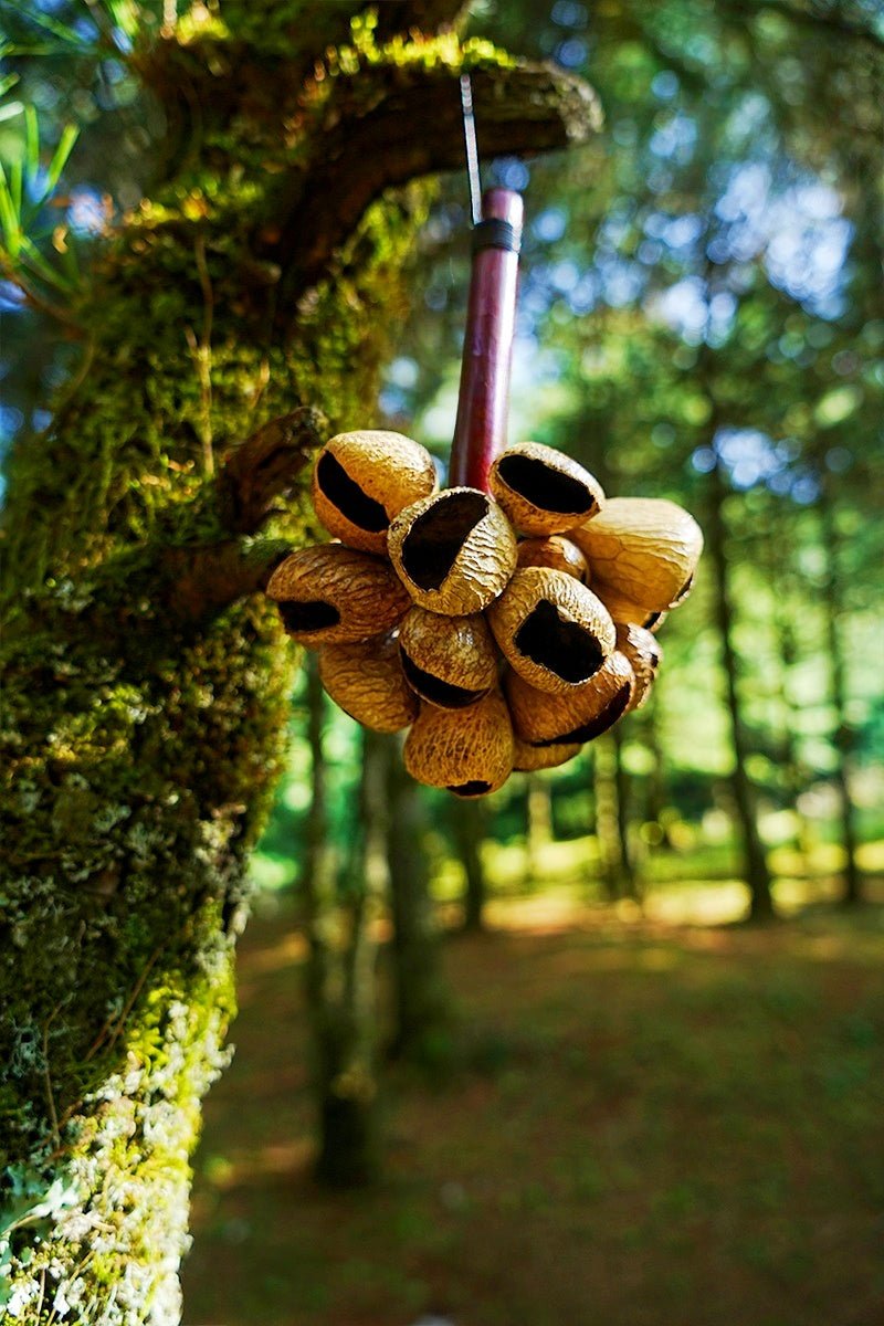Panji Seed Pod Wooden Handle Shaker