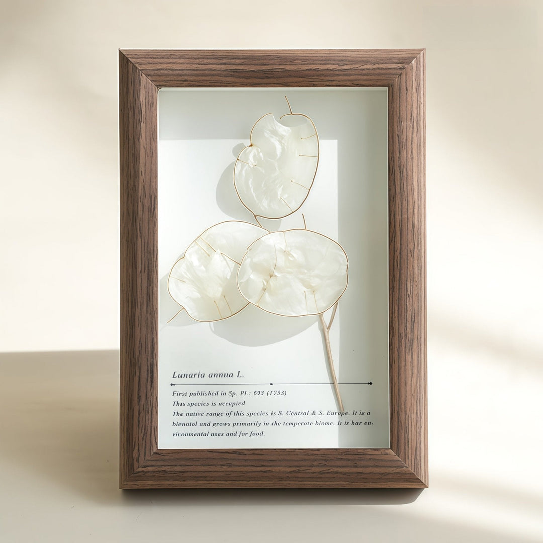 "The Landscape Garden"  Real Flower Shadow Box