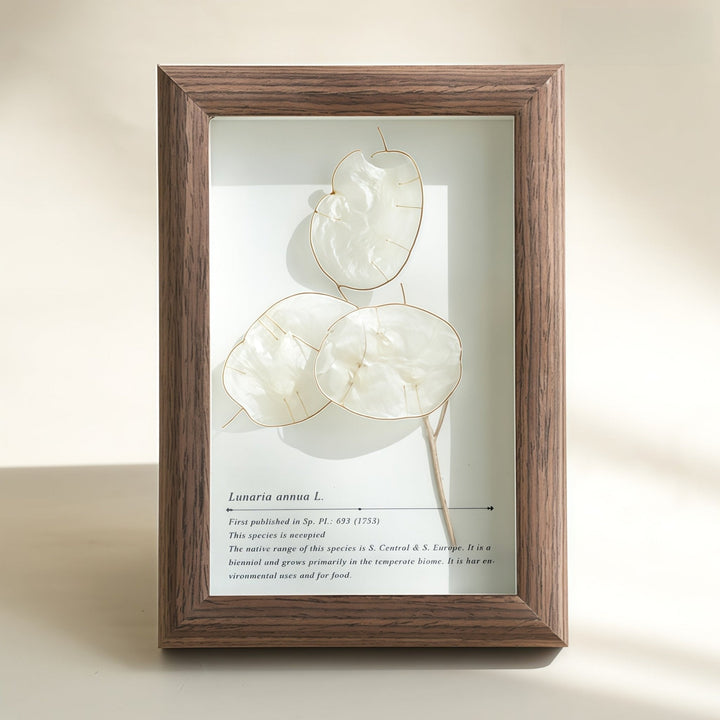 "The Landscape Garden"  Real Flower Shadow Box