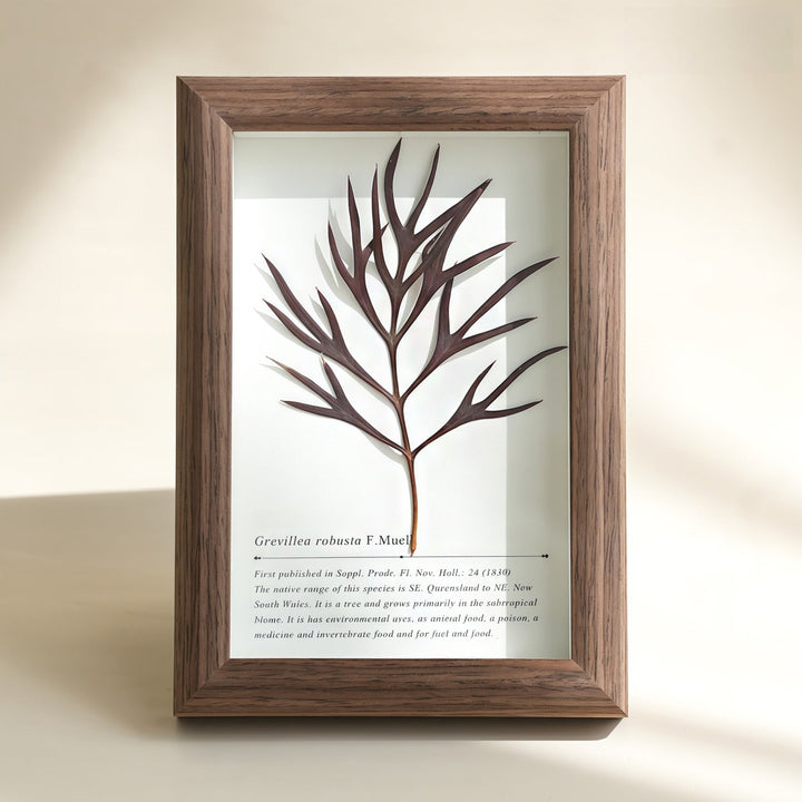 "The Landscape Garden"  Real Flower Shadow Box